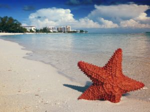 A Complete Guide to Staying at Baha Mar