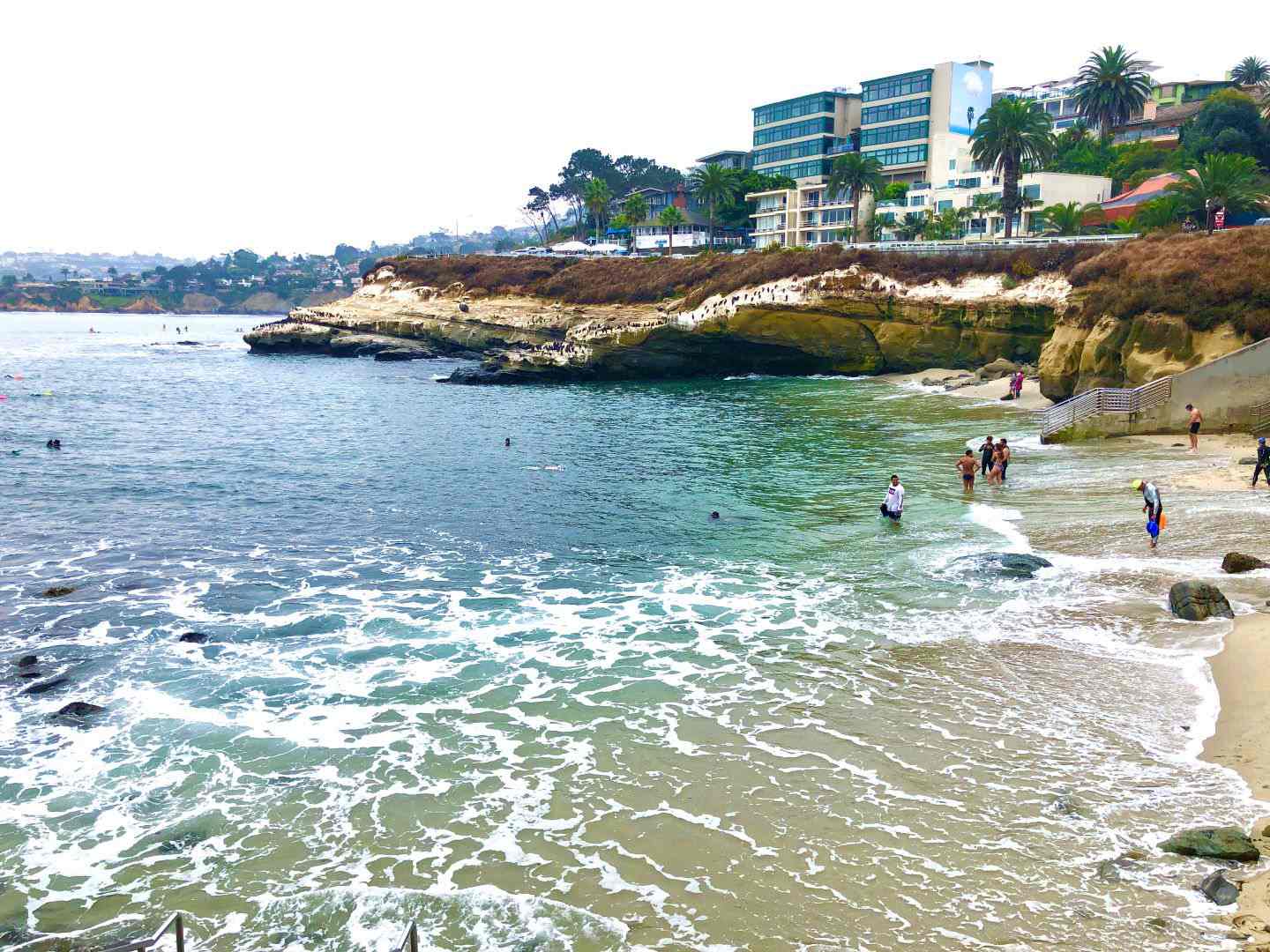 The Best 15 Things to Do in La Jolla, California | The Trav Nav