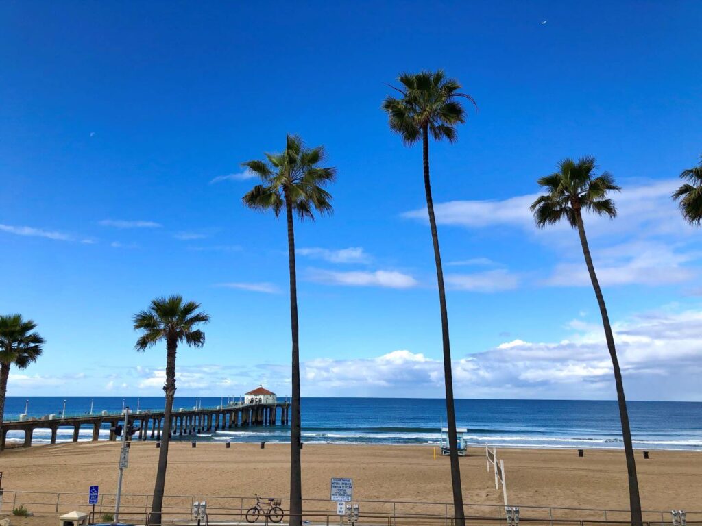 View of the beach and pier with palm trees
