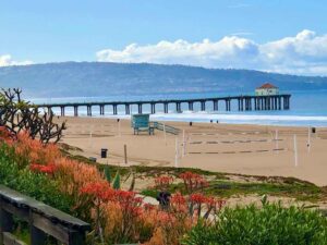 Read more about the article The Best Things to Do in the South Bay