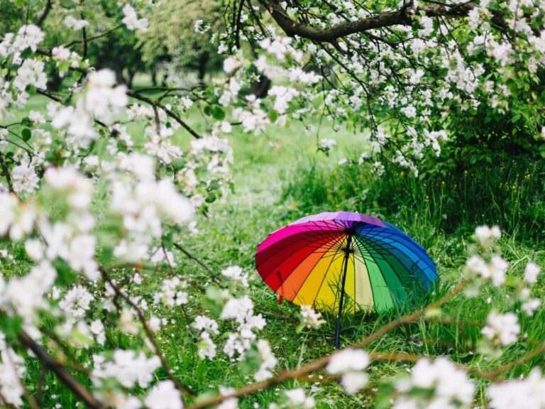 colorful umbrella, flowers in a field