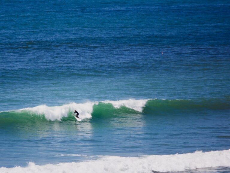 surfing in carlsbad