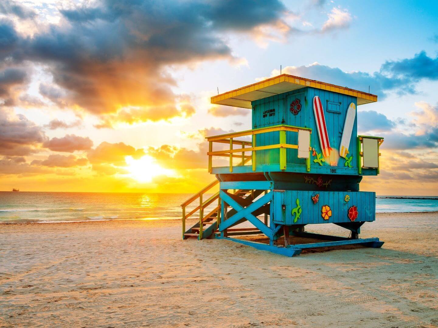 South Florida: 15 Exciting Activities from Palm Beach to Miami