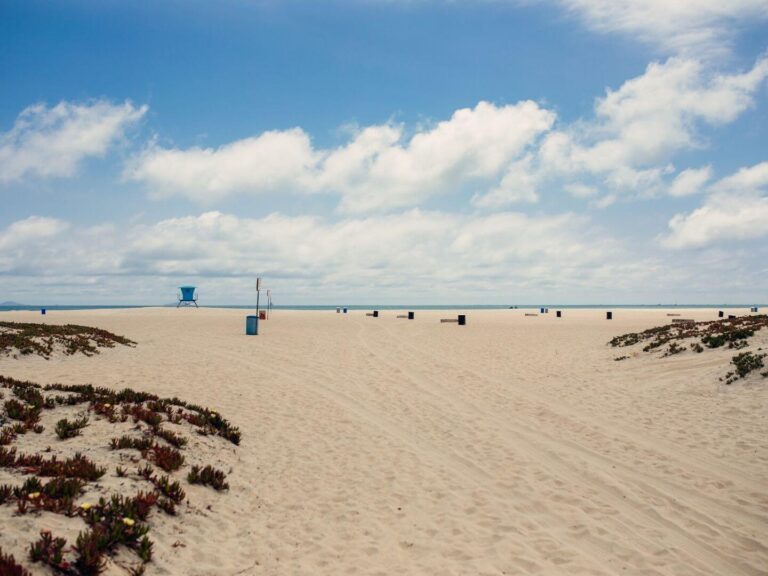 Coronado Beach Picture
