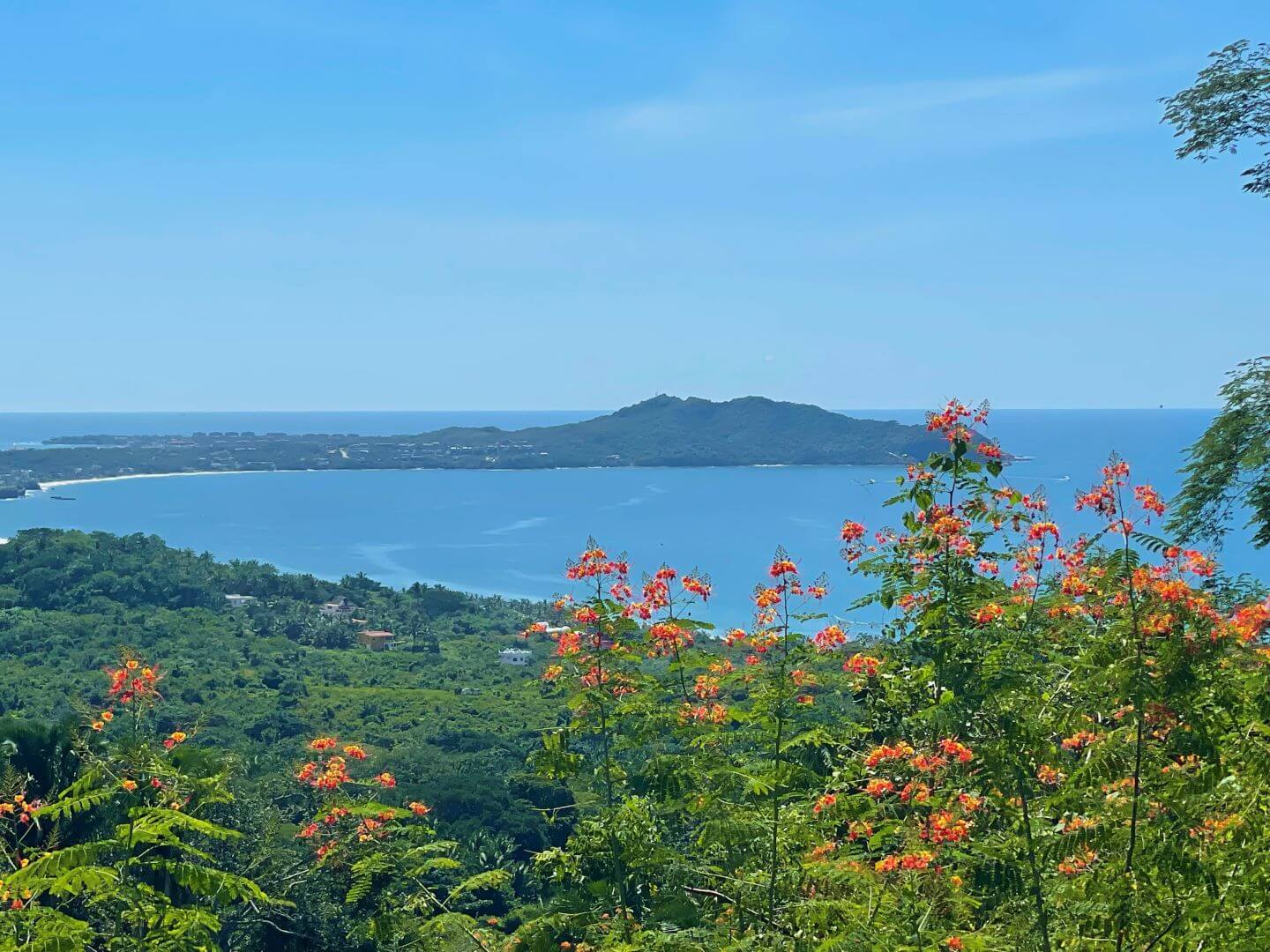 You are currently viewing Hiking Monkey Mountain: One of the Best Activities in Riviera Nayarit