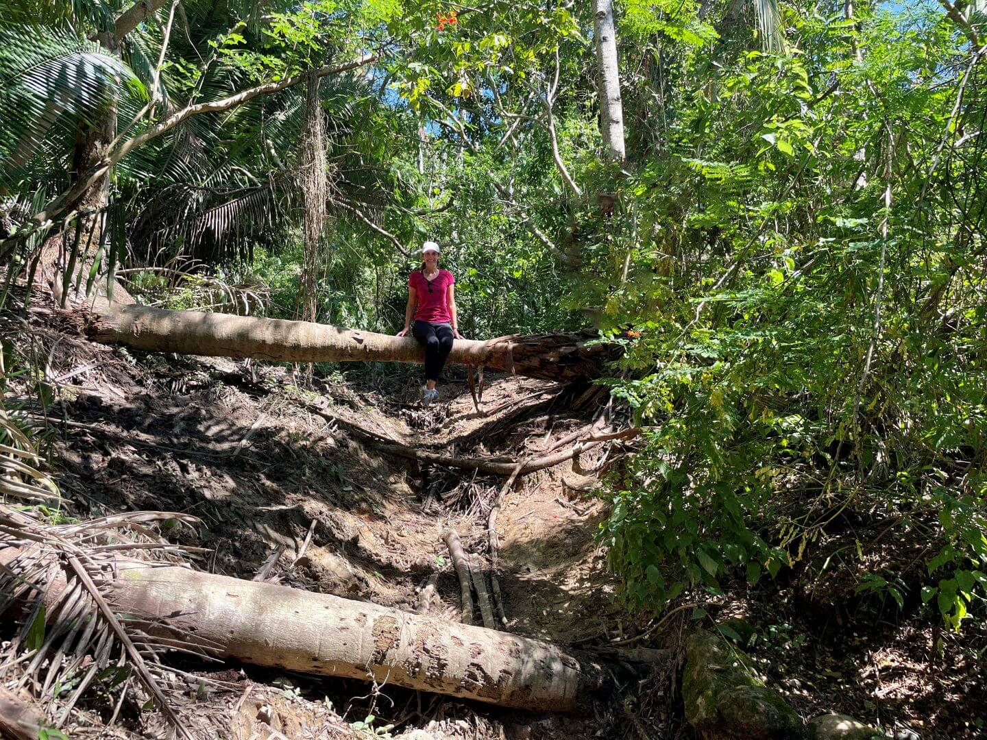 Hiking Monkey Mountain: One of the Best Activities in Riviera Nayarit ...