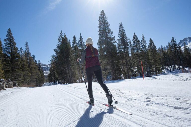 Cross Country Skiier