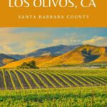 Vineyard in Santa Ynez Valley