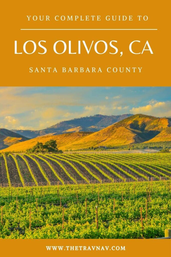 Vineyard in Santa Ynez Valley