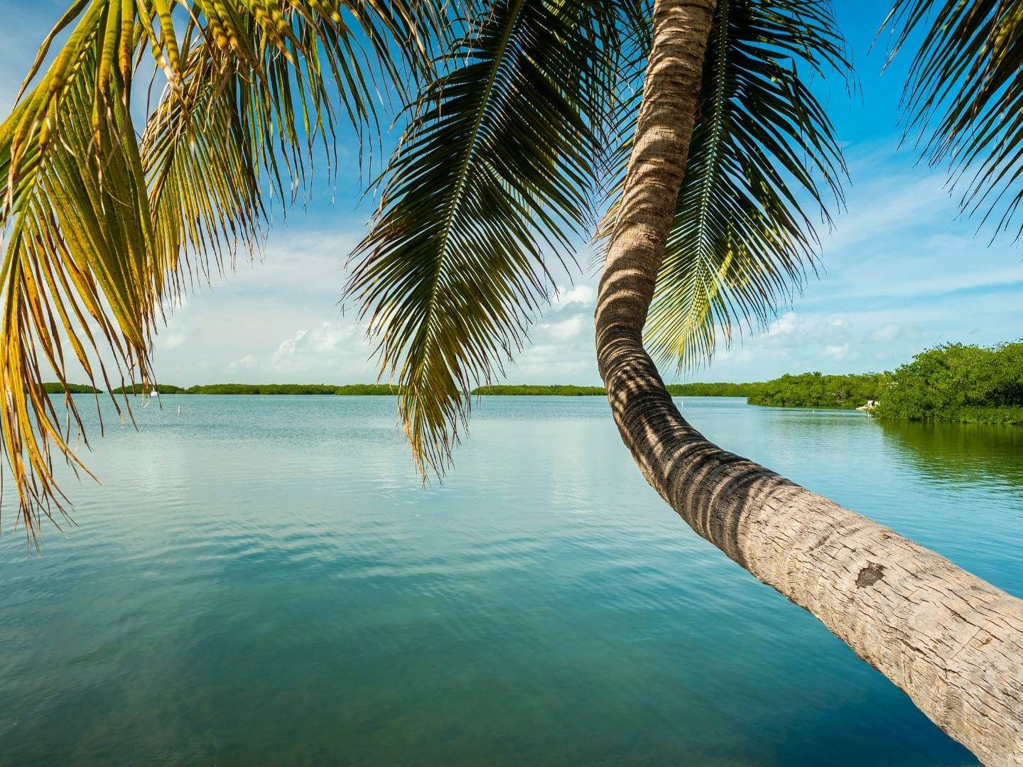 Unique Things to Do on the Water in the Upper Florida Keys
