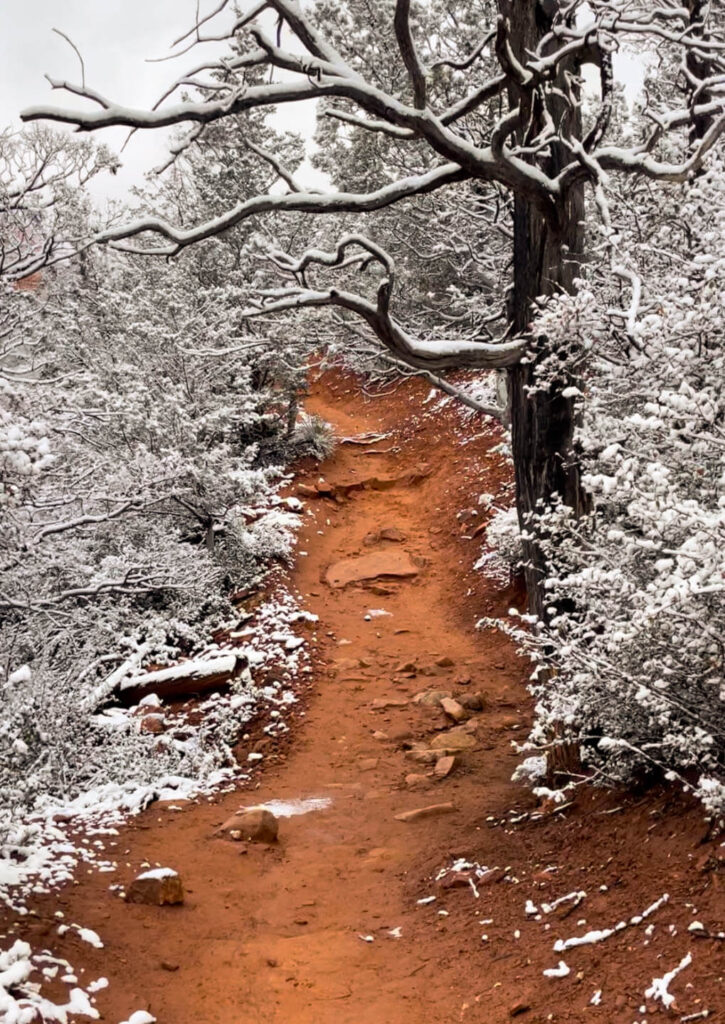 Snow in Sedona at Solider's Pass