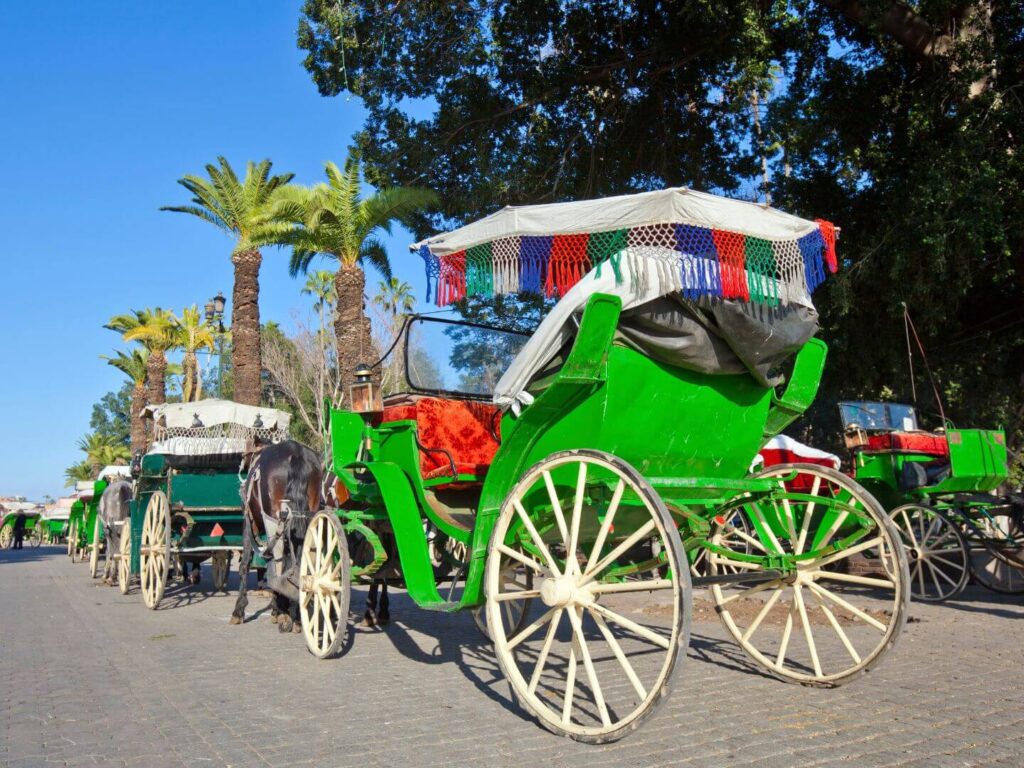 Horse Drawn Carriage in Marrakech, Morocco