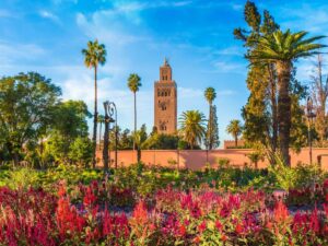 The Most Unique Things to Do in Marrakesh, Morocco