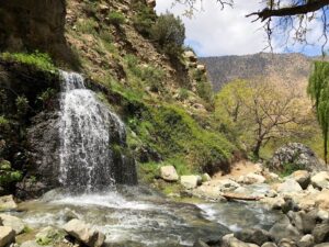 Read more about the article The Ultimate Guide to an Atlas Mountains Day Trip