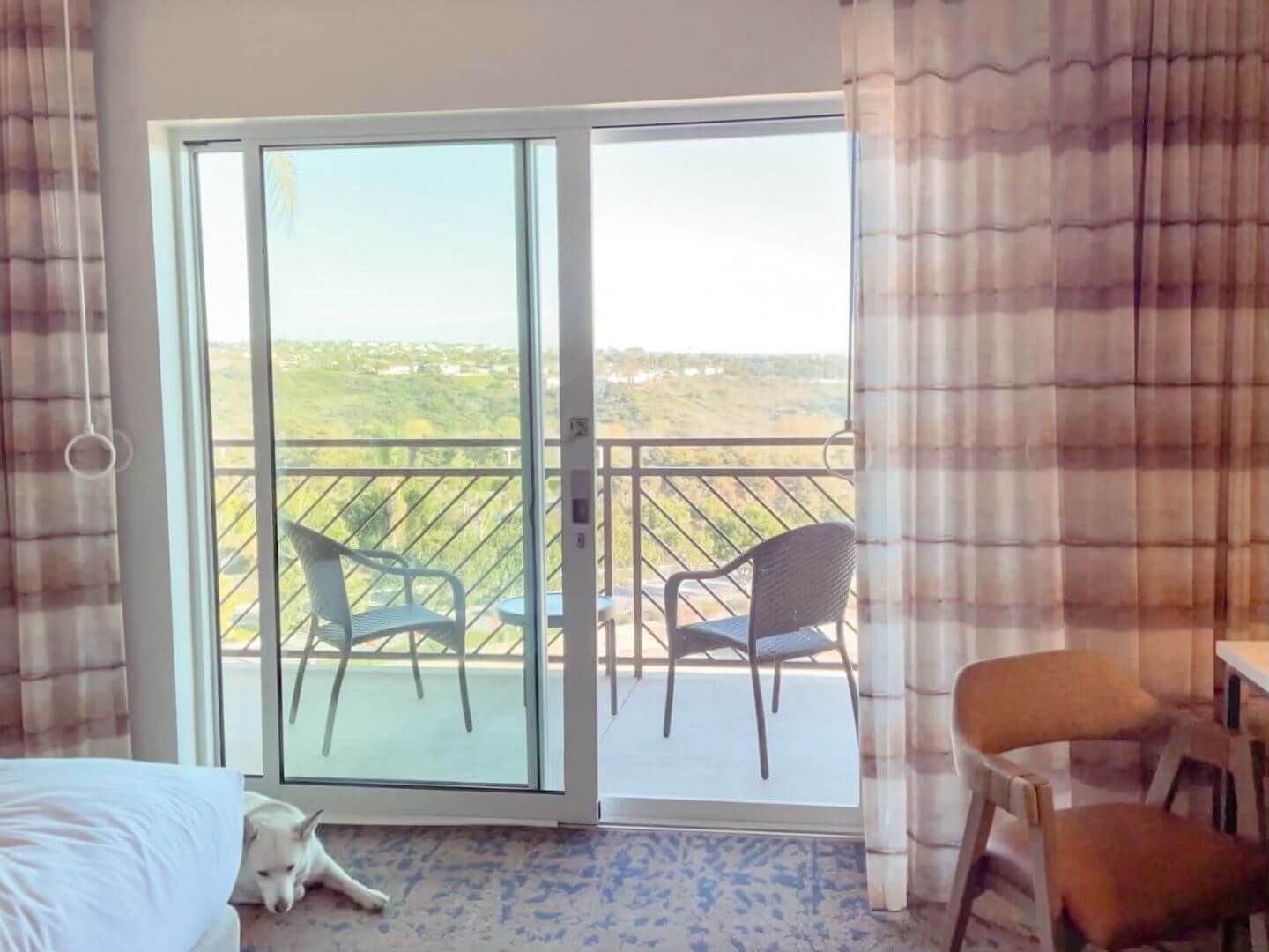 Cassara Hilton Guestroom