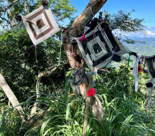 Rivera Nayarit Monkey Mountain