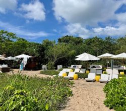 Lounge chairs on la lancha beach at the surf club in punta mita