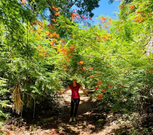 Rivera Nayarit Monkey Mountain Trail