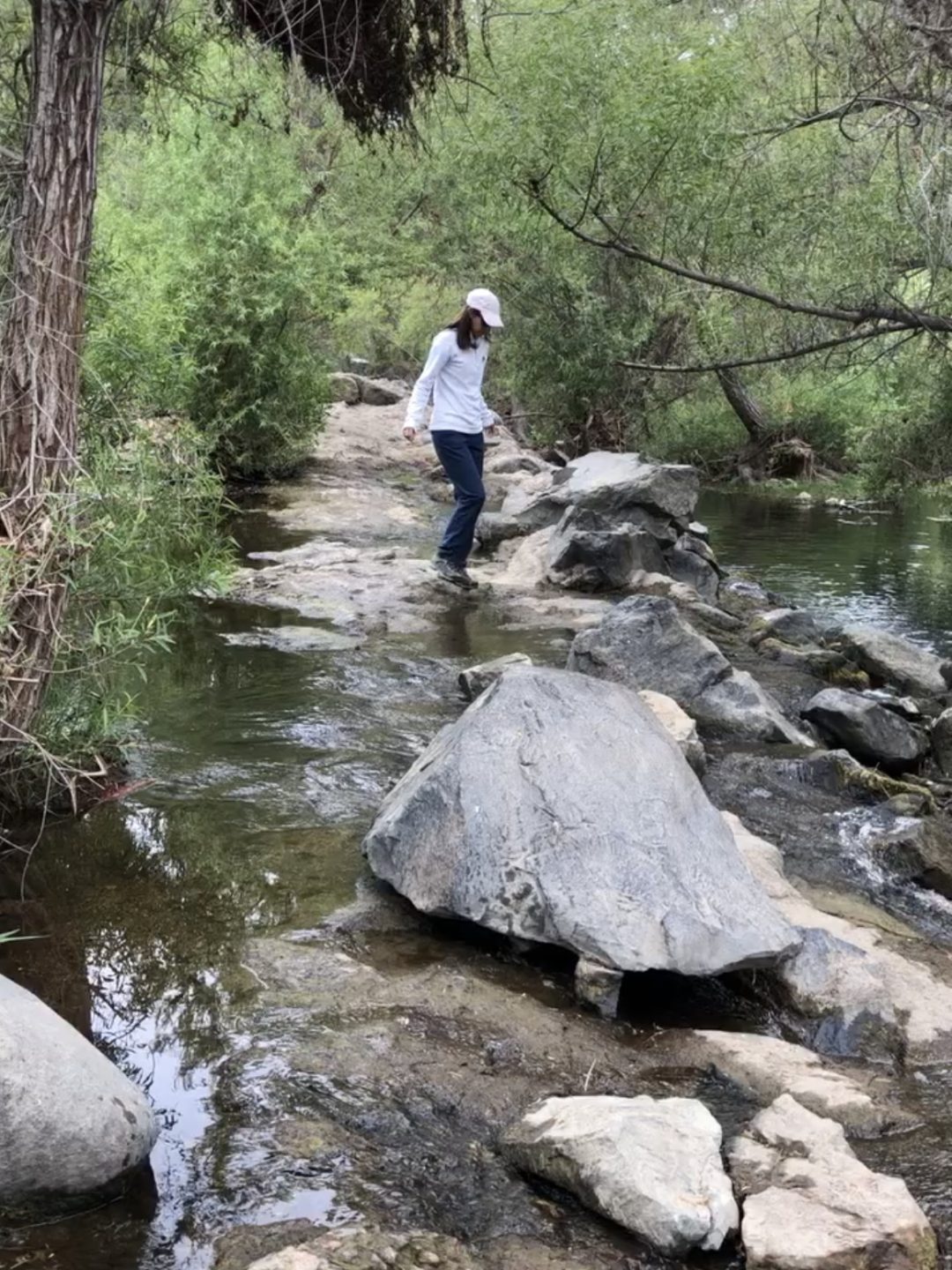 stream crossing on the south fortuna hike in downtown san diego