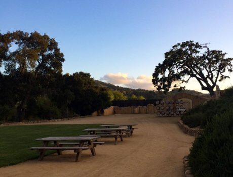Sunstone winery picnic area
